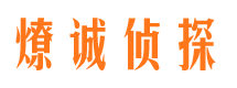 普陀市场调查